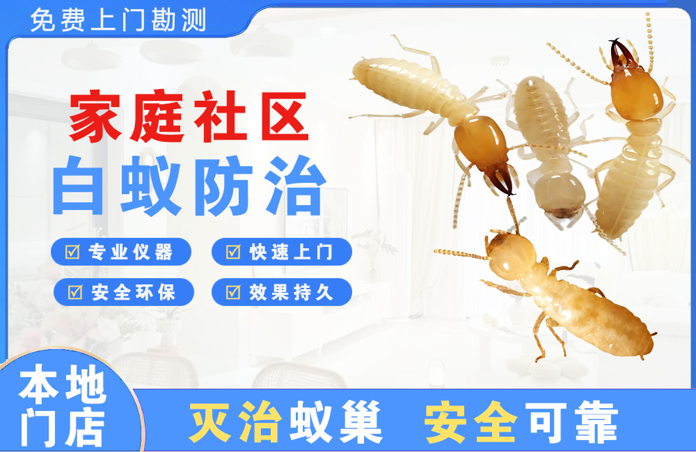 仙桃家庭社区白蚁防治