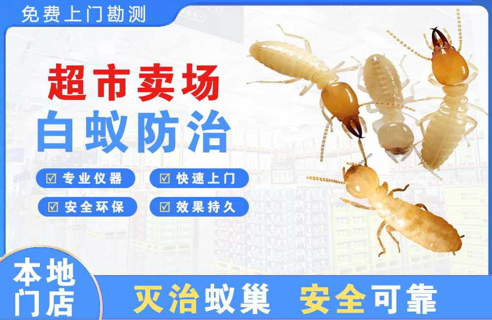 仙桃超市卖场白蚁防治