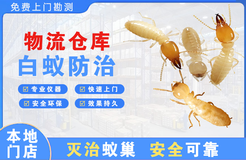 仙桃物流仓库白蚁防治