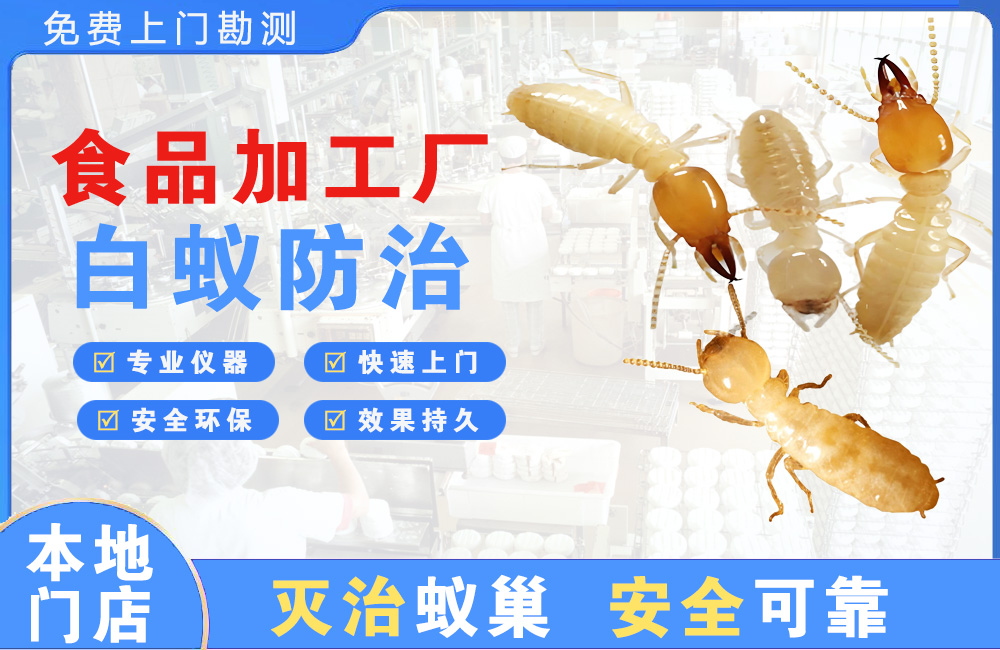 仙桃食品加工厂白蚁防治