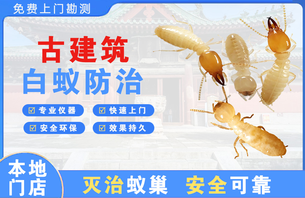 仙桃古建筑白蚁防治