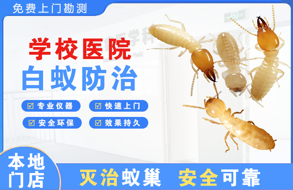 仙桃学校医院白蚁防治