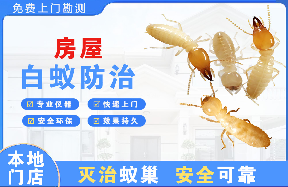仙桃房屋白蚁防治