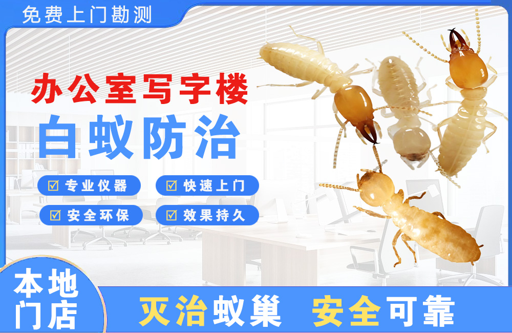 仙桃办公室写字楼白蚁防治