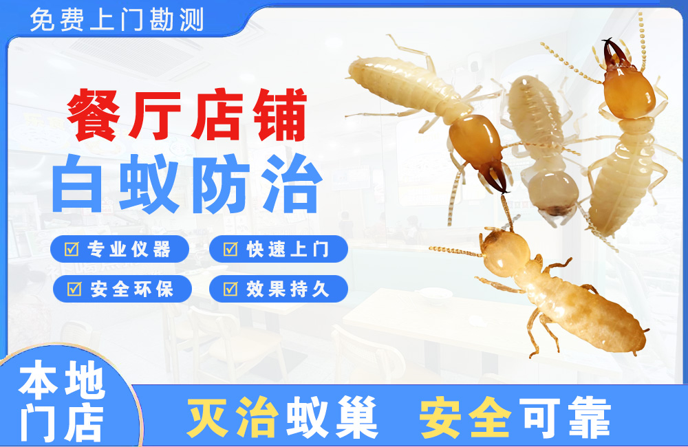 仙桃餐厅店铺白蚁防治